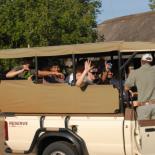 Each tour ends with a safari.