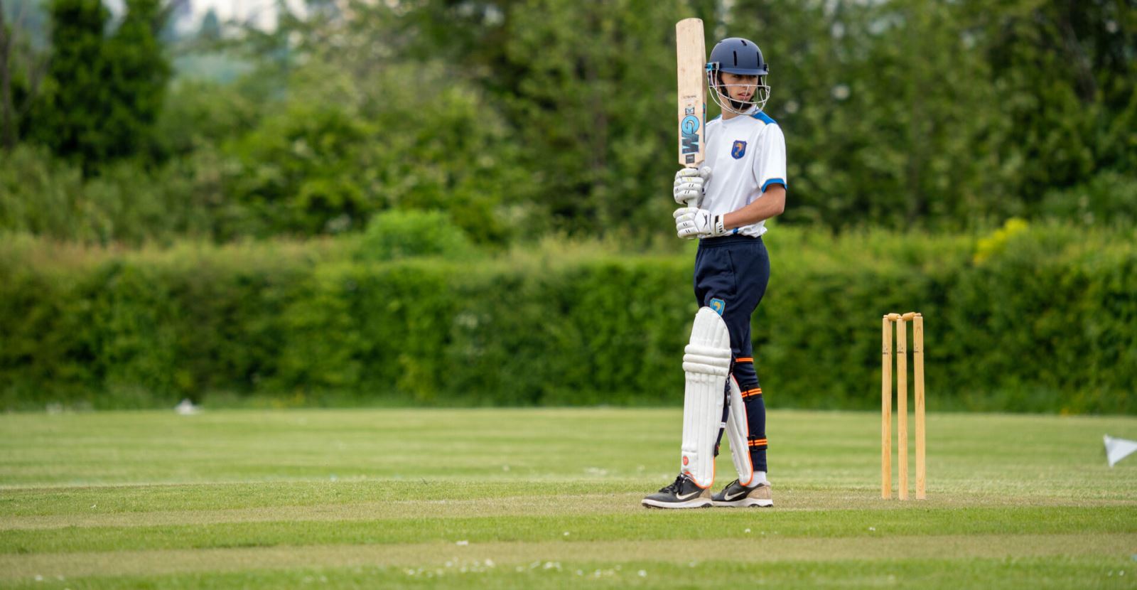 Cricket