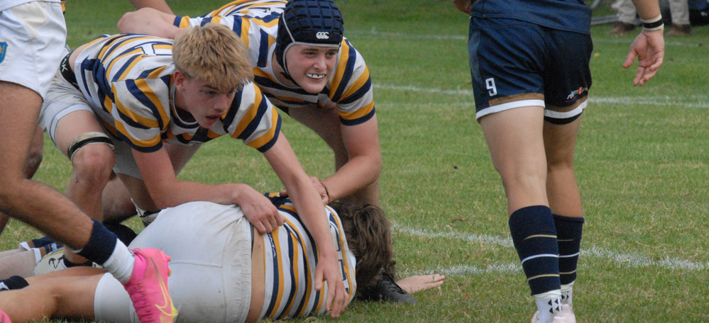 Rugby